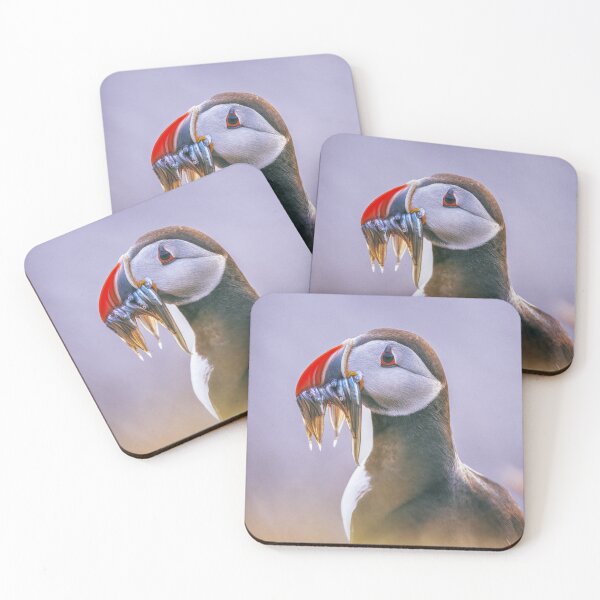Item preview, Atlantic Puffin Fratercula arctica Portrait designed and sold by PhotoArt by Joan Carroll.
