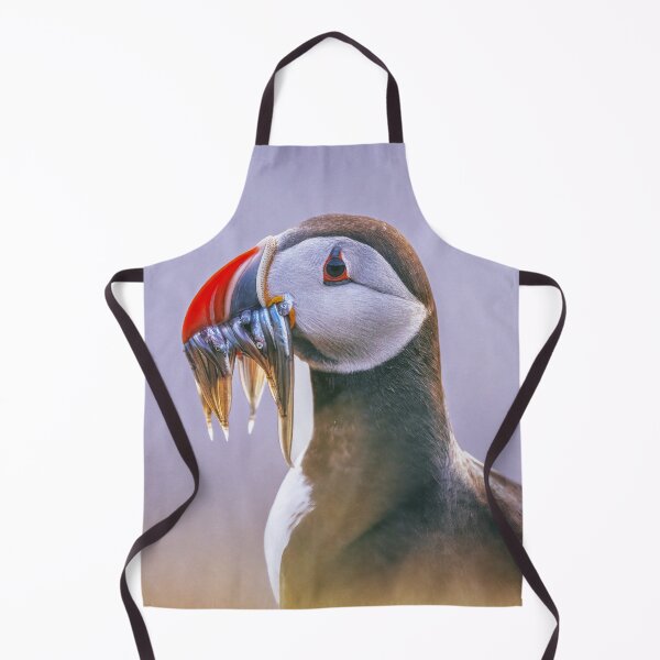 Item preview, Atlantic Puffin Fratercula arctica Portrait designed and sold by PhotoArt by Joan Carroll.