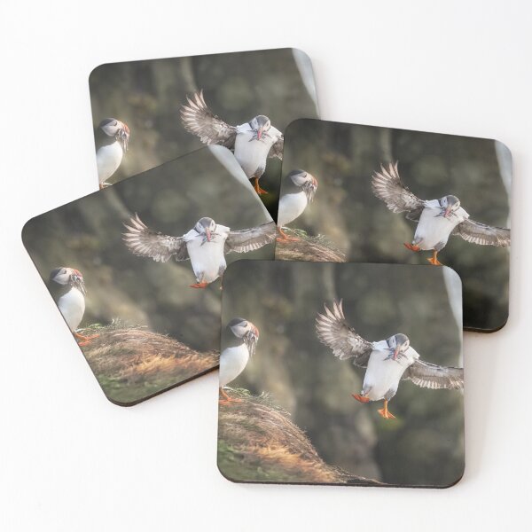 Item preview, Two Atlantic Puffins With Sandeels Iceland designed and sold by PhotoArt by Joan Carroll.