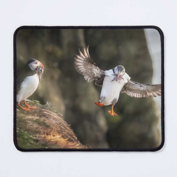 Item preview, Two Atlantic Puffins With Sandeels Iceland designed and sold by PhotoArt by Joan Carroll.