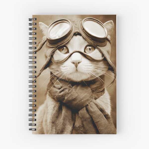 Item preview, Steampunk Aviator Cat Goggles designed and sold by EK-World.