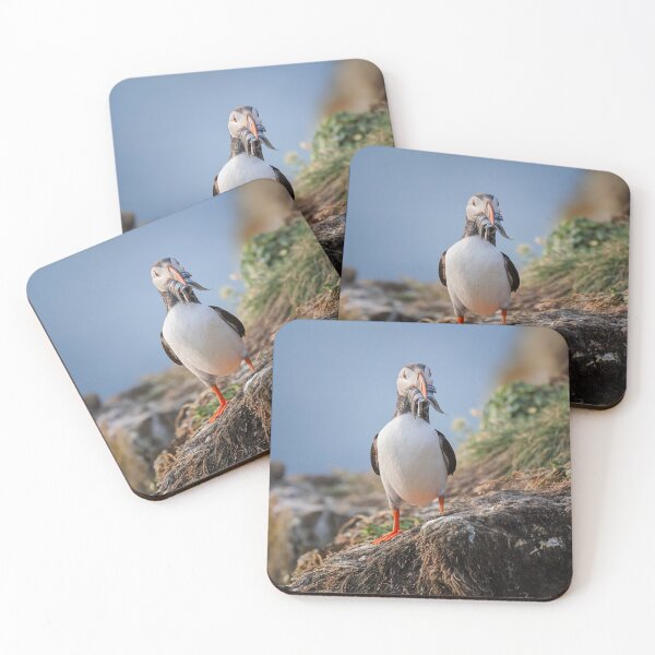 Item preview, Puffin with Sandeels in Iceland 2 designed and sold by PhotoArt by Joan Carroll.