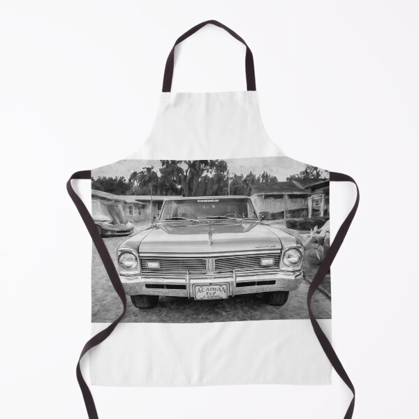Item preview, 1967 Acadian Canso SD Sport Deluxe X106 designed and sold by RichFrancoCars.