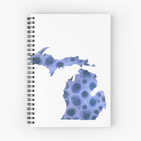 Item preview, Petoskey stones, blue stone, the Great Lake state, Michigan | Michigander  designed and sold by hollycooper.