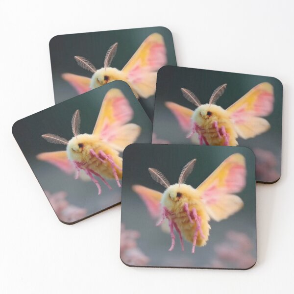 Item preview, rosy maple moth in flight colorful nature design designed and sold by SmashingDeals.