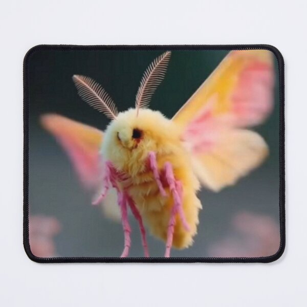 Item preview, rosy maple moth in flight colorful nature design designed and sold by SmashingDeals.