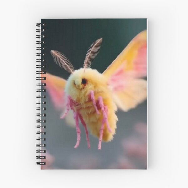 Item preview, rosy maple moth in flight colorful nature design designed and sold by SmashingDeals.
