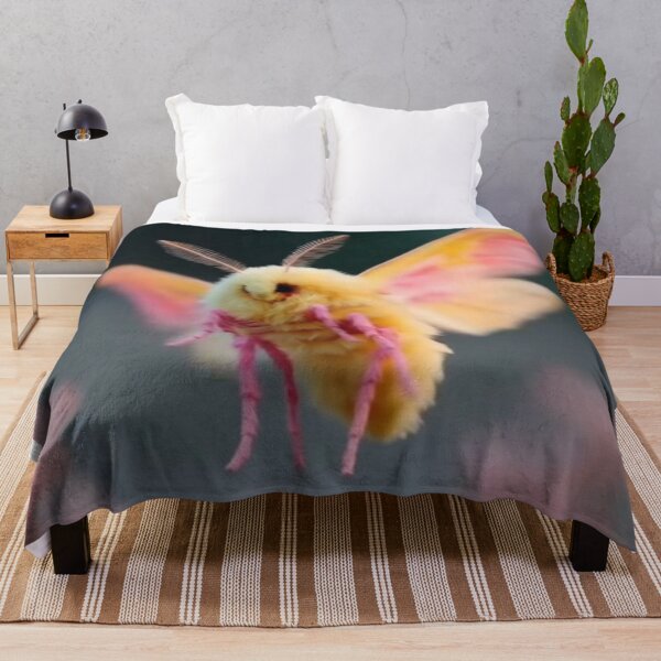 Item preview, rosy maple moth in flight colorful nature design designed and sold by SmashingDeals.