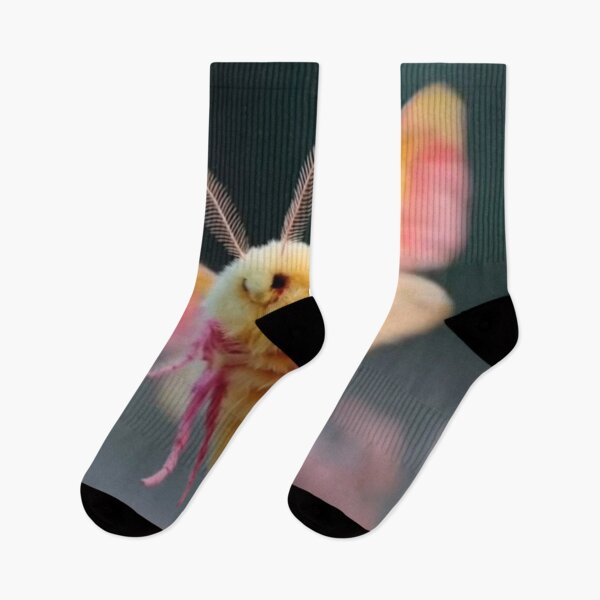 Item preview, rosy maple moth in flight colorful nature design designed and sold by SmashingDeals.