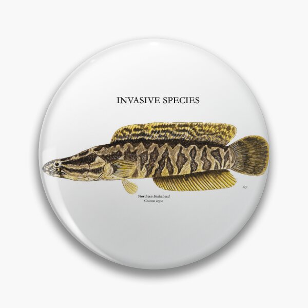 Item preview, Northern Snakehead Painting designed and sold by Stephen Emms.