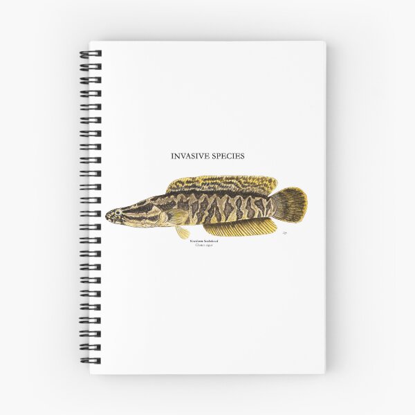 Item preview, Northern Snakehead Painting designed and sold by Stephen Emms.