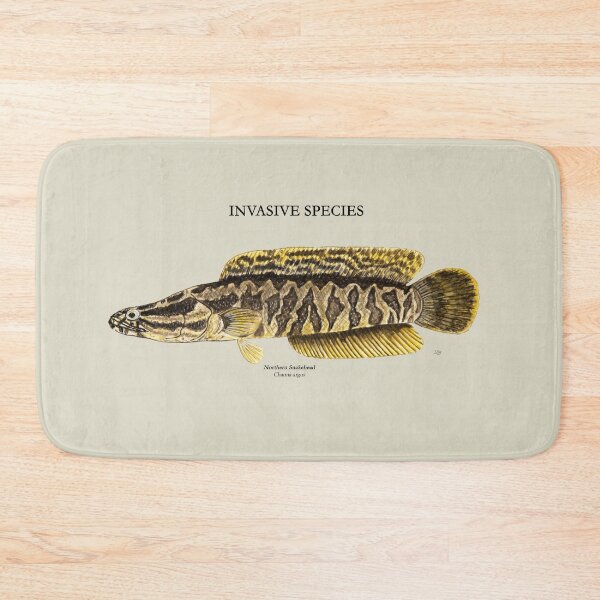 Item preview, Northern Snakehead Painting designed and sold by Stephen Emms.