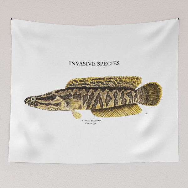 Item preview, Northern Snakehead Painting designed and sold by Stephen Emms.