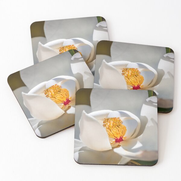 Item preview, Southern Magnolia Blossom Magnolia Grandiflora X117 designed and sold by RichFrancoCars.