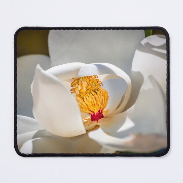 Item preview, Southern Magnolia Blossom Magnolia Grandiflora X117 designed and sold by RichFrancoCars.