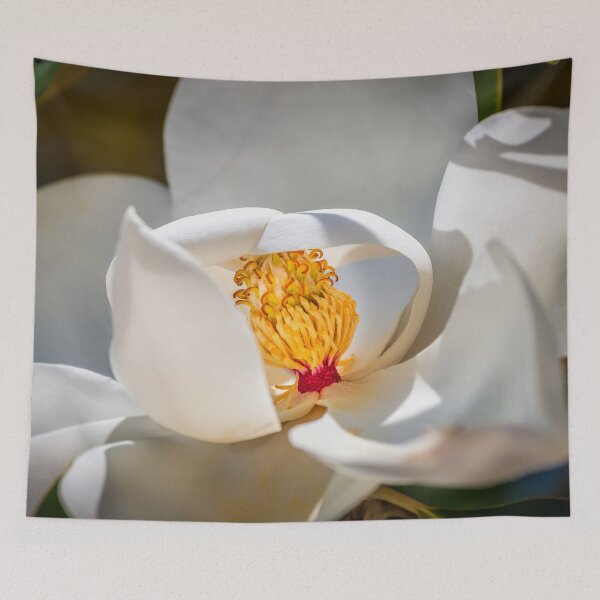 Item preview, Southern Magnolia Blossom Magnolia Grandiflora X117 designed and sold by RichFrancoCars.