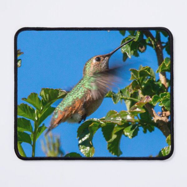 Item preview, Emerald Flash: Hummingbird in Motion designed and sold by TheHikersEye.