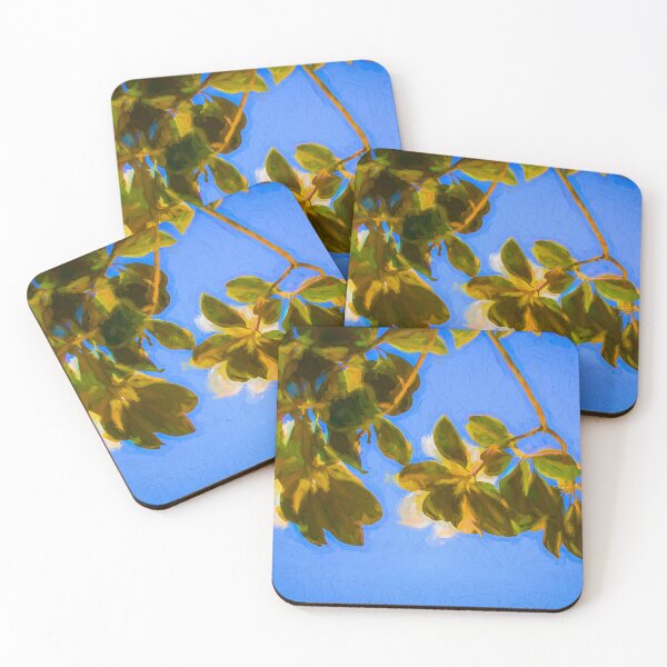 Item preview,   Southern Magnolia Blossom Magnolia Grandiflora X123 designed and sold by RichFrancoCars.