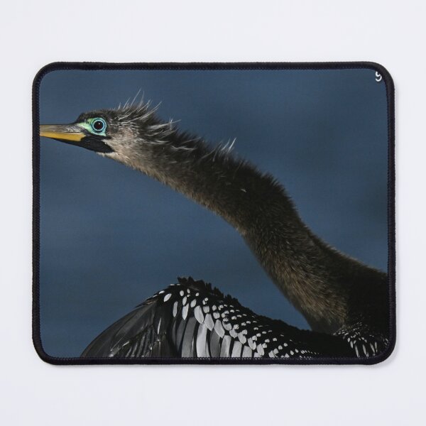 Item preview, Breeding Blues designed and sold by Glennphotos.