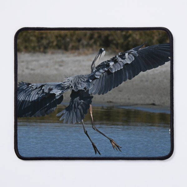 Item preview, Touch Down  designed and sold by Glennphotos.