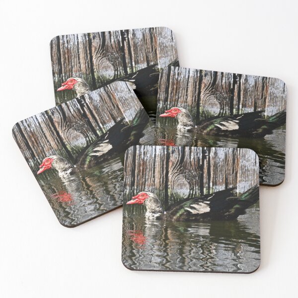 Item preview, Water and Wood designed and sold by Glennphotos.