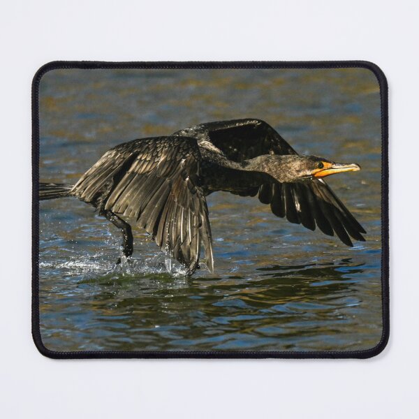 Item preview, Wave Top Flying designed and sold by Glennphotos.