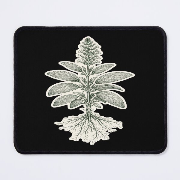 Item preview, Antique Botanical Sage Engraving – Gift for Book Lovers • Dark Academia Herbal Art designed and sold by JacobKAurumhead.