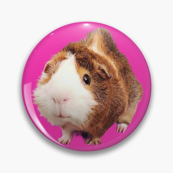 Item preview, Guinea Pig Io designed and sold by TheGayneaPigs.