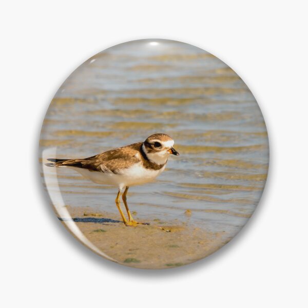 Item preview, Plover at Water's Edge designed and sold by Debra Martz.