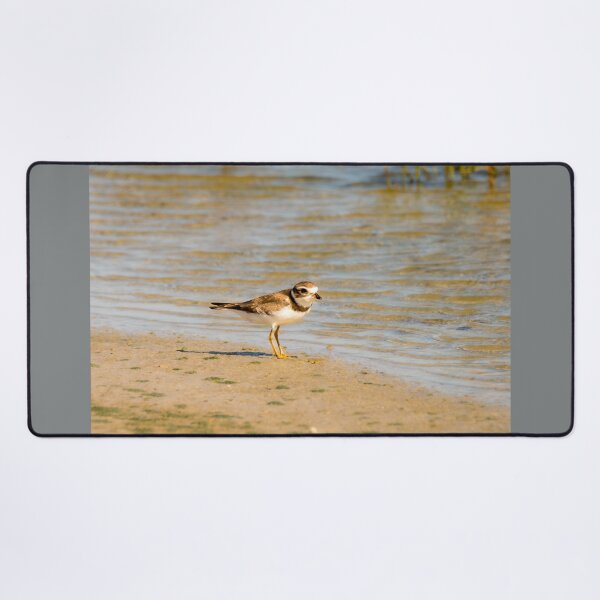 Item preview, Plover at Water's Edge designed and sold by Debra Martz.
