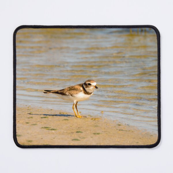 Item preview, Plover at Water's Edge designed and sold by Debra Martz.