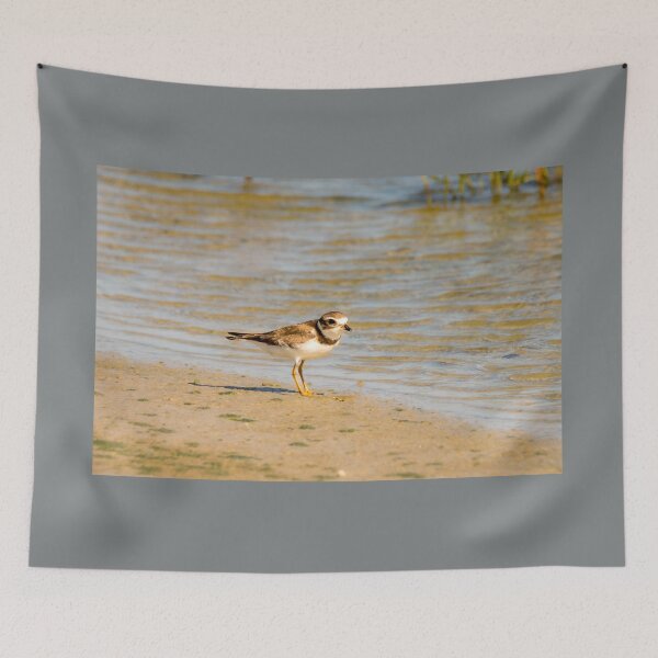 Item preview, Plover at Water's Edge designed and sold by Debra Martz.