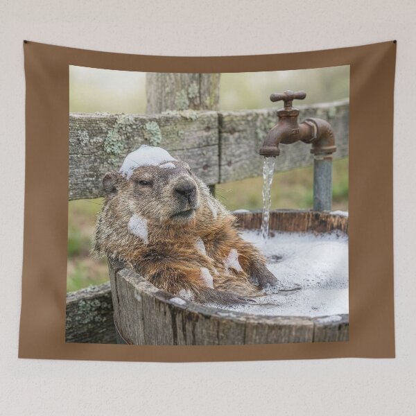 Item preview, Woodchuck (Groundhog) Takes a Bath designed and sold by Tridentulus.