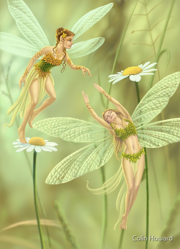 "Flower Fairies" by Colin Howard | Redbubble