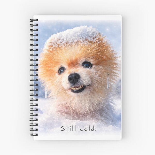 Item preview, Still Cold - Cute Pomeranian Winter Mood (Al Art) designed and sold by TsvietkovaArt.