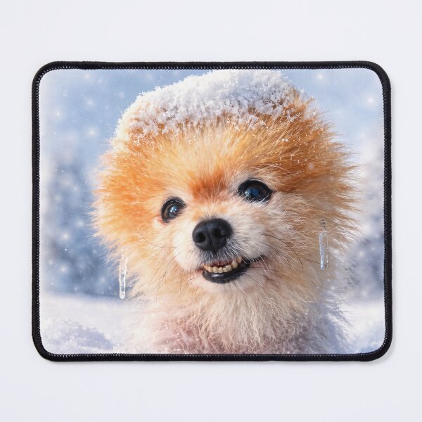 Item preview, Still Cold - Cute Pomeranian Winter Mood (Al Art) designed and sold by TsvietkovaArt.