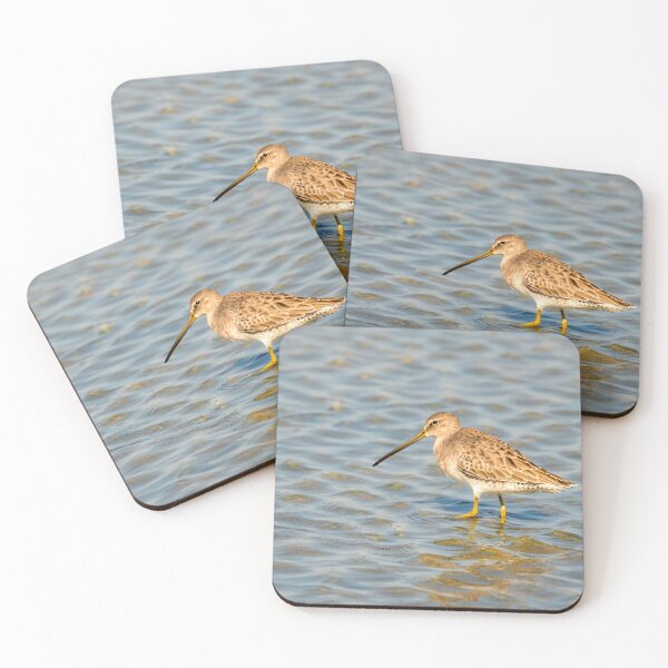 Item preview, Dowitcher in Shallow Water designed and sold by Debra Martz.