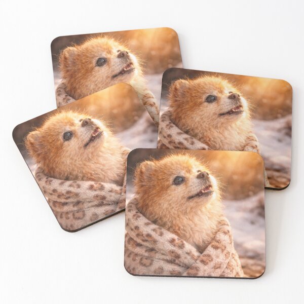Item preview, Almost Spring - Cute Pomeranian Waiting for Sunshine designed and sold by TsvietkovaArt.