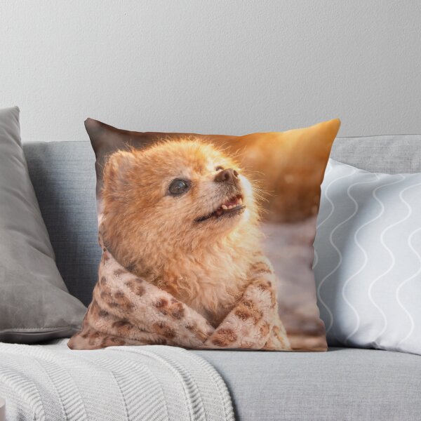 Item preview, Almost Spring - Cute Pomeranian Waiting for Sunshine designed and sold by TsvietkovaArt.