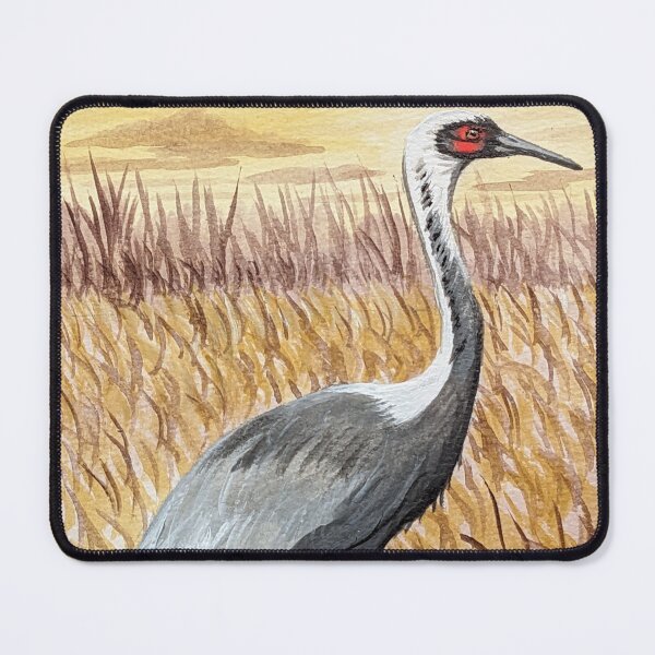 Item preview, White-naped crane in the marsh at sunrise designed and sold by Matt Starr Fine Art .