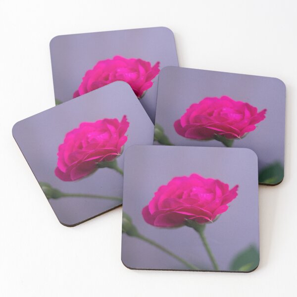 Item preview, Pink Garden Rose designed and sold by ROSE ANN BANILAR.