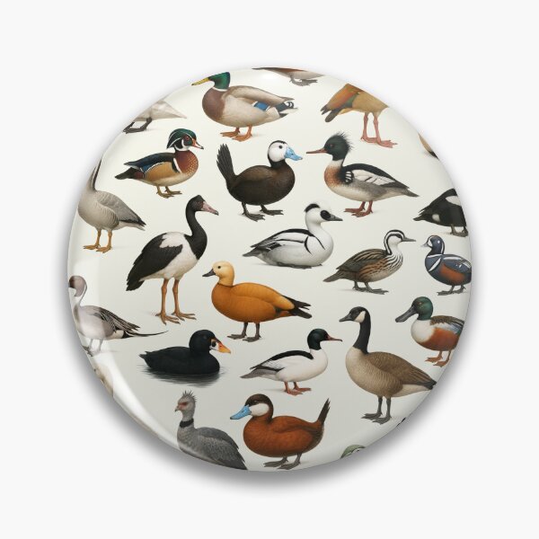 Item preview, Anseriformes (Duck Goose Swan) Wildlife Retro Identification Chart designed and sold by kakarikihill.