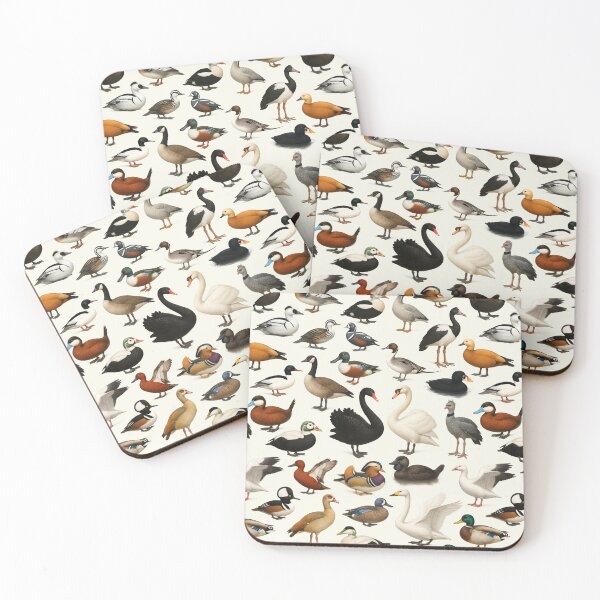 Item preview, Anseriformes (Duck Goose Swan) Wildlife Retro Identification Chart designed and sold by kakarikihill.