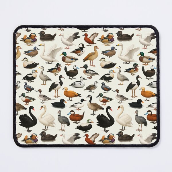Item preview, Anseriformes (Duck Goose Swan) Wildlife Retro Identification Chart designed and sold by kakarikihill.