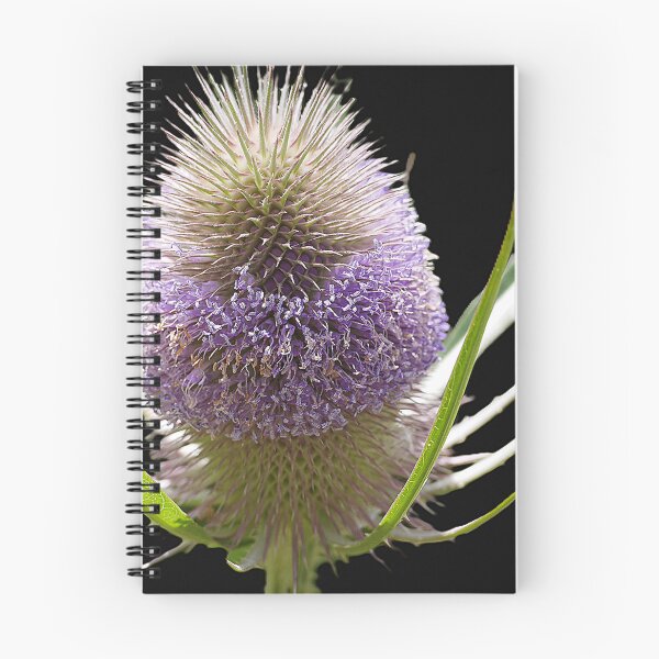 Item preview, Two Thousand Flowers to be Seen as One designed and sold by Larry Davis.