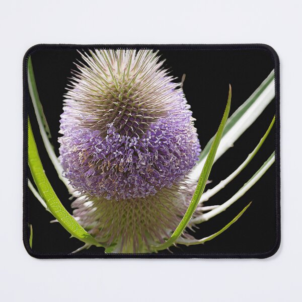 Item preview, Two Thousand Flowers to be Seen as One designed and sold by Larry Davis.