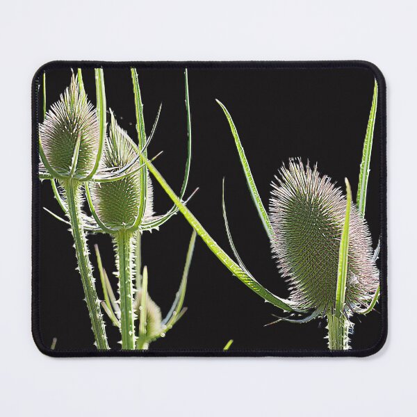 Item preview, Reaching for the Light designed and sold by Larry Davis.