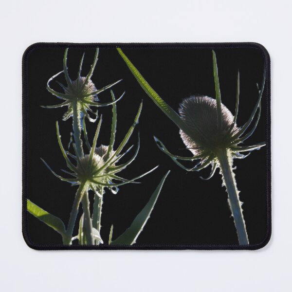 Item preview, Backlit & Wanting More designed and sold by Larry Davis.