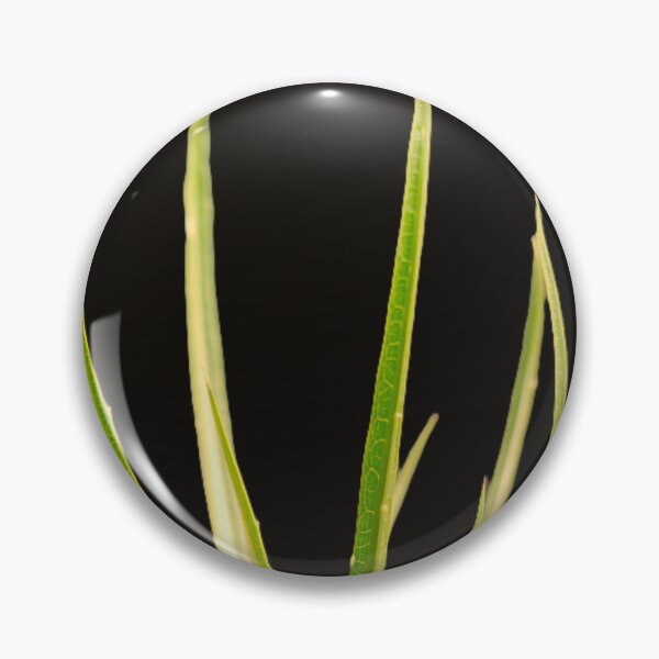 Item preview, Like A Teazel (1) designed and sold by Larry Davis.
