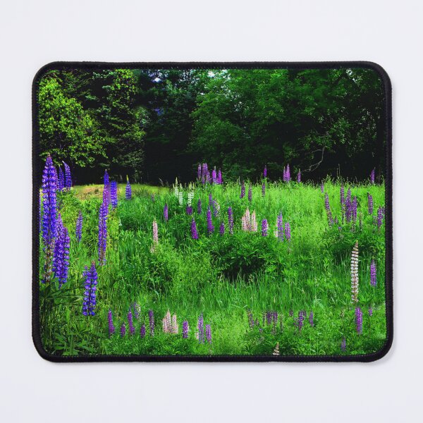 Item preview, Lupine Panorama designed and sold by Wayne King.